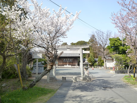知里付神社の桜
